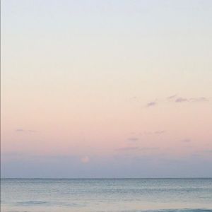 Meet your Posher, Georgie